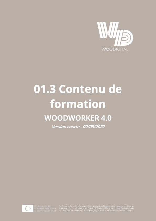Report O1.3 – version courte