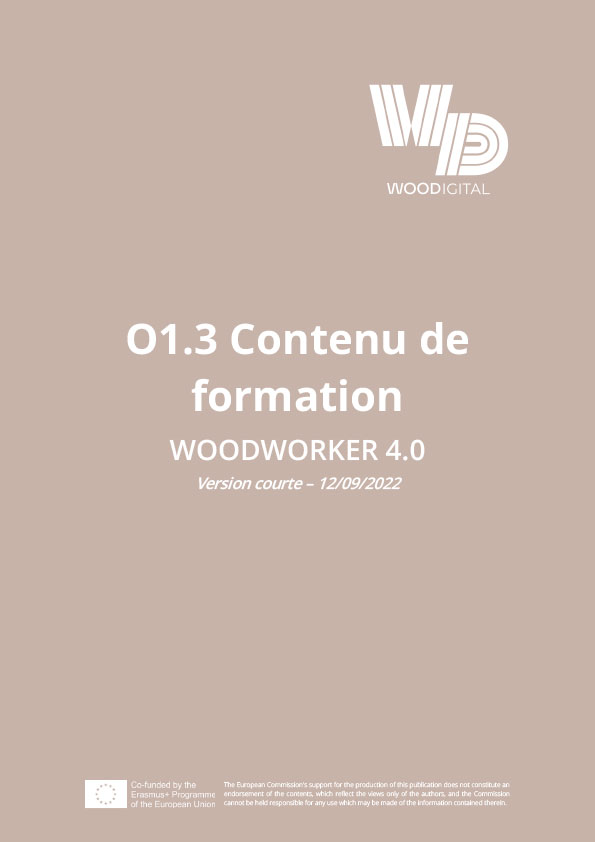 Report O1.3 – version courte finale
